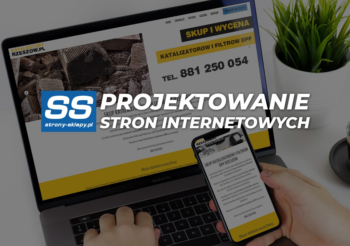 Strony internetowe Stalowa Wola - błyskawicznie, tanio